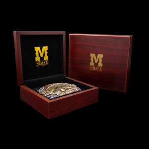 Stillwater BELT BUCKLE